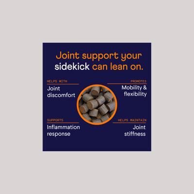 Show full view: Finn Hip & Joint, 90 count + Digestive Prebiotic & Probiotic Supplement for Dogs, 90 count slide 5 of 9