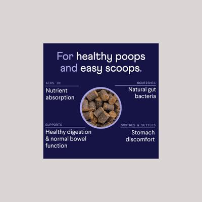 Show full view: Finn Hip & Joint, 90 count + Digestive Prebiotic & Probiotic Supplement for Dogs, 90 count slide 9 of 9