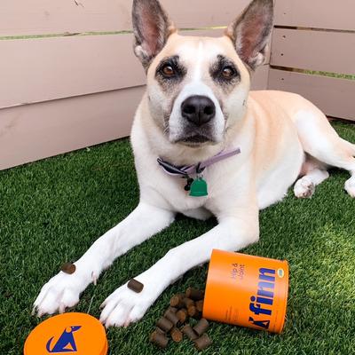 Show full view: Finn Hip & Joint Dog Supplement, 90 count slide 9 of 12