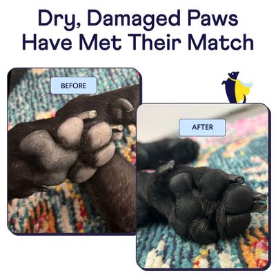 Show full view: Finn Paw Hero Dog Cream, 1.75-fl oz tube slide 4 of 9