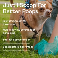 Finn Pumpkin Plus Superfoods Sweet Potato & Pumpkin Flavored Powder for Dogs, 8-oz slide 2 of 9