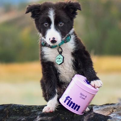 Show full view: Finn Skin & Coat Wild Alaskan Salmon Oil Dog Supplement, 90 count slide 9 of 11