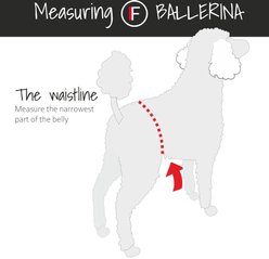 FinNero Ballerina Denim Washable Female Heat Dog Diaper, XX-Small: 8.6 to 12.5-in waist slide 2 of 9