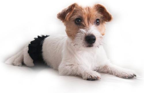 Show full view: FinNero Ballerina Washable Female Heat Dog Diaper, Black, Medium: 18 to 23.6-in waist slide 4 of 10