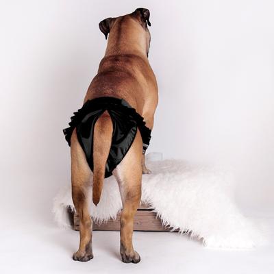 Show full view: FinNero Ballerina Washable Female Heat Dog Diaper, Black, Small: 14.9 to 19.2-in waist slide 6 of 10