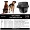 Show in main carousel: FinNero Ballerina Washable Female Heat Dog Diaper, Black, X-Large: 24.8 to 38.1-in waist slide 7 of 10