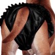 Show in main carousel: FinNero Ballerina Washable Female Heat Dog Diaper, Black, X-Small: 11.8 to 16.9-in waist slide 4 of 10