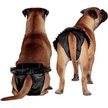 Show in main carousel: FinNero Ballerina Washable Female Heat Dog Diaper, Black, X-Small: 11.8 to 16.9-in waist slide 5 of 10