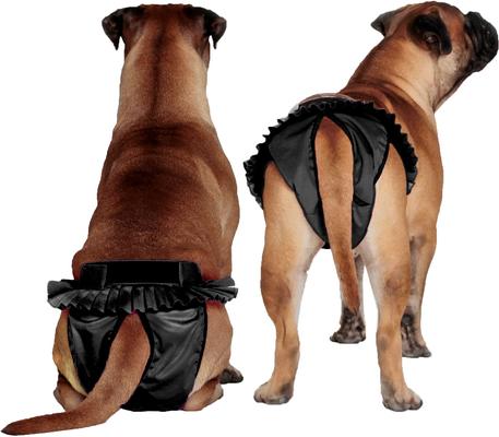 Show full view: FinNero Ballerina Washable Female Heat Dog Diaper, Black, X-Small: 11.8 to 16.9-in waist slide 5 of 10