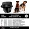 Show in main carousel: FinNero Ballerina Washable Female Heat Dog Diaper, Black, X-Small: 11.8 to 16.9-in waist slide 8 of 10