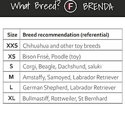 FinNero BRENDA Hygiene Pants Washable Female Dog Diaper, Camo, L slide 2 of 8