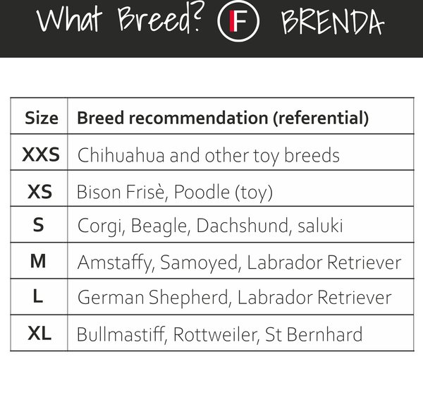 Show full view: FinNero BRENDA Hygiene Pants Washable Female Dog Diaper, Camo, L slide 8 of 9