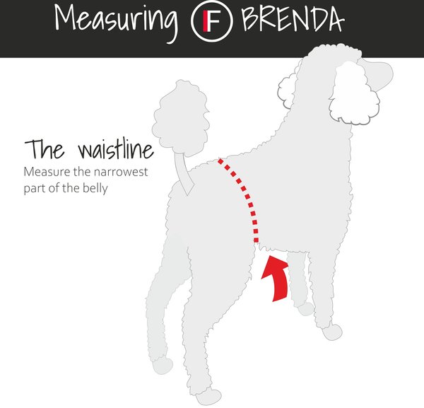 Show full view: FinNero BRENDA Hygiene Pants Washable Female Dog Diaper, Camo, L slide 6 of 9