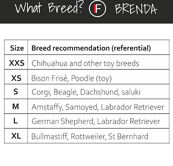 Show full view: FinNero BRENDA Hygiene Pants Washable Female Dog Diaper, Camo, XX-Small slide 8 of 9