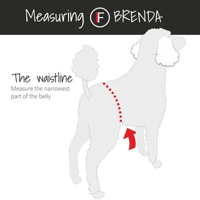 Show full view: FinNero BRENDA Hygiene Pants Washable Female Dog Diaper, Grey, Small slide 6 of 9