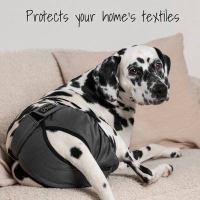 Show full view: FinNero BRENDA Hygiene Pants Washable Female Dog Diaper, Grey, Small slide 3 of 9