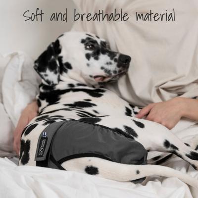 Show full view: FinNero BRENDA Hygiene Pants Washable Female Dog Diaper, Grey, X-Small slide 2 of 9