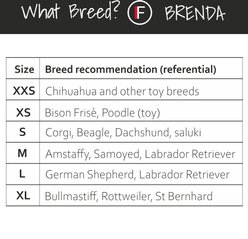 FinNero BRENDA Hygiene Pants Washable Female Dog Diaper, Grey, XX-Small slide 2 of 8