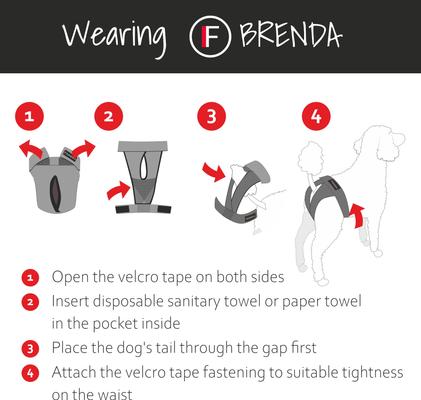 Show full view: FinNero BRENDA Hygiene Pants Washable Female Dog Diaper, Grey, XX-Small slide 5 of 9