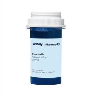 Firocoxib (Generic) Chewable Tablets for Dogs, 227mg, 1 tablet