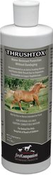 First Companion Thrushtox Horse Antifungal Ointment, 16-oz bottle