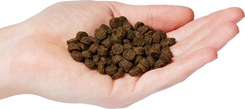 Show full view: Firstmate Small Bites Limited Ingredient Diet Grain-Free Australian Lamb Meal Formula Dry Dog Food, 12-lb bag slide 4 of 5