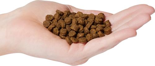 Show full view: Firstmate Small Bites Limited Ingredient Diet Grain-Free Chicken Meal with Blueberries Formula Dry Dog Food, 4-lb bag slide 4 of 5