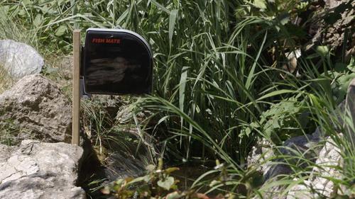 Show full view: Fish Mate P21 Pond Fish Feeder slide 8 of 9