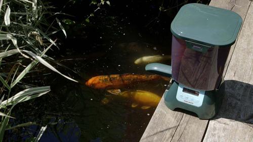 Show full view: Fish Mate Pond Fish Feeder, 30-cup slide 7 of 10