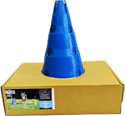 FitPAWS CanineGym Dog Agility Kit slide 2 of 5