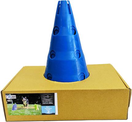 Show full view: FitPAWS CanineGym Dog Agility Kit slide 3 of 7