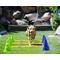 Show in main carousel: FitPAWS CanineGym Dog Agility Kit slide 6 of 7