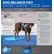 Show in main carousel: FitPAWS Dog Balance Pad, Blue slide 2 of 5