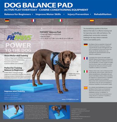 Show full view: FitPAWS Dog Balance Pad, Blue slide 2 of 5