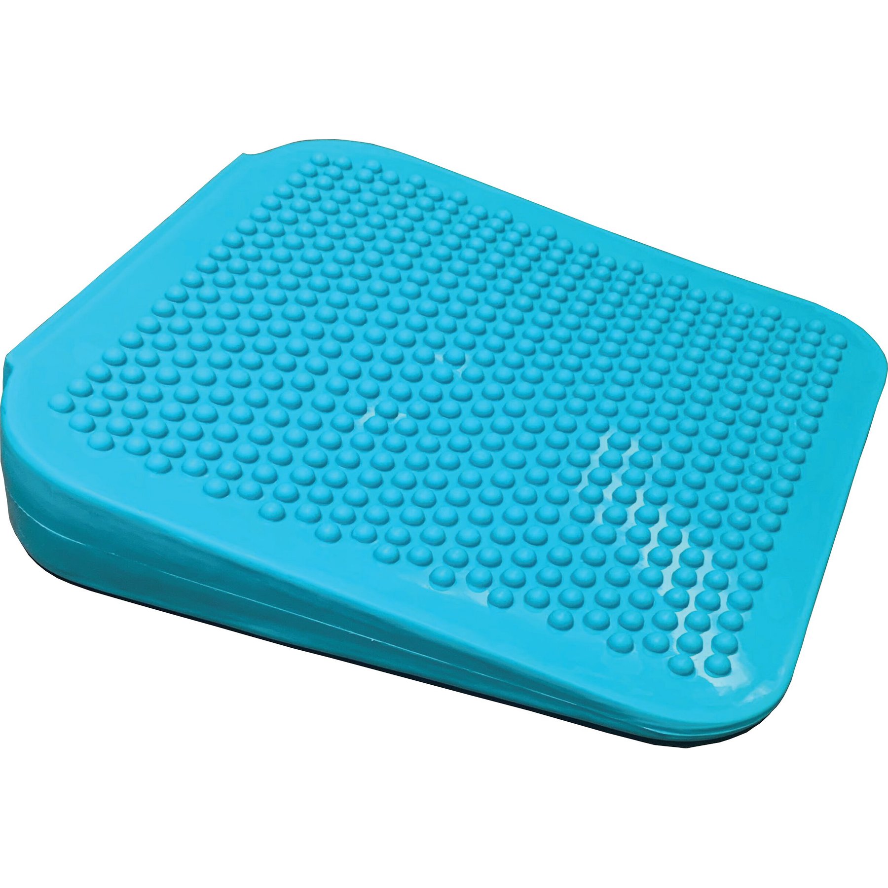 FitPAWS Dog Balancing Ramp, Aqua
