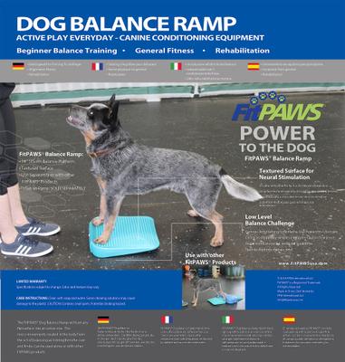 Show full view: FitPAWS Dog Balancing Ramp, Aqua slide 2 of 8