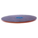 FitPAWS Dog Balancing Wobble Board, 20-in