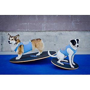 FitPAWS Dog Balancing Wobble Board, 20-in