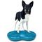 Show in main carousel: FitPAWS Duo Disc Dog Stability Training Tool, Teal slide 3 of 9