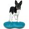Show in main carousel: FitPAWS Duo Disc Dog Stability Training Tool, Teal slide 6 of 9