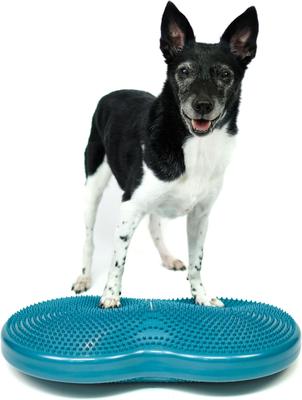 Show full view: FitPAWS Duo Disc Dog Stability Training Tool, Teal slide 6 of 9