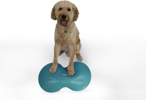 Show full view: FitPAWS Duo Disc Dog Stability Training Tool, Teal slide 8 of 9