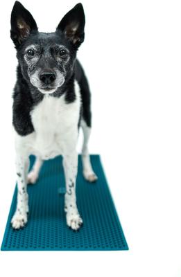 Show full view: FitPAWS K9 FitMat Dog Training Tool, Teal slide 6 of 8