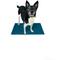 Show in main carousel: FitPAWS K9 FitMat Dog Training Tool, Teal slide 4 of 8