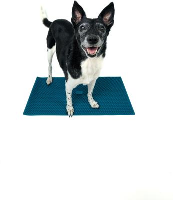 Show full view: FitPAWS K9 FitMat Dog Training Tool, Teal slide 4 of 8