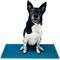 Show in main carousel: FitPAWS K9 FitMat Dog Training Tool, Teal slide 3 of 8