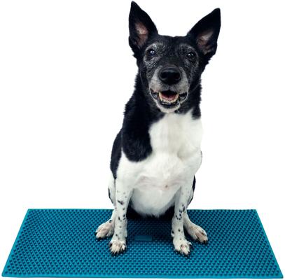 Show full view: FitPAWS K9 FitMat Dog Training Tool, Teal slide 3 of 8