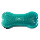 FitPAWS K9FITbone Dog Training Regular Balancing Bone, Aqua