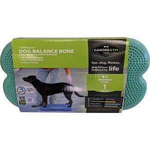 FitPAWS K9FITbone Dog Training Regular Balancing Bone, Aqua