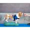 Show in main carousel: FitPAWS K9FITbone Dog Training Regular Balancing Bone, Aqua slide 4 of 6